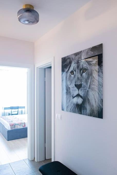 Tokiyo: A Lovely City Center 2 Bedrooms Apartment With Private Parking Sofia Exterior foto